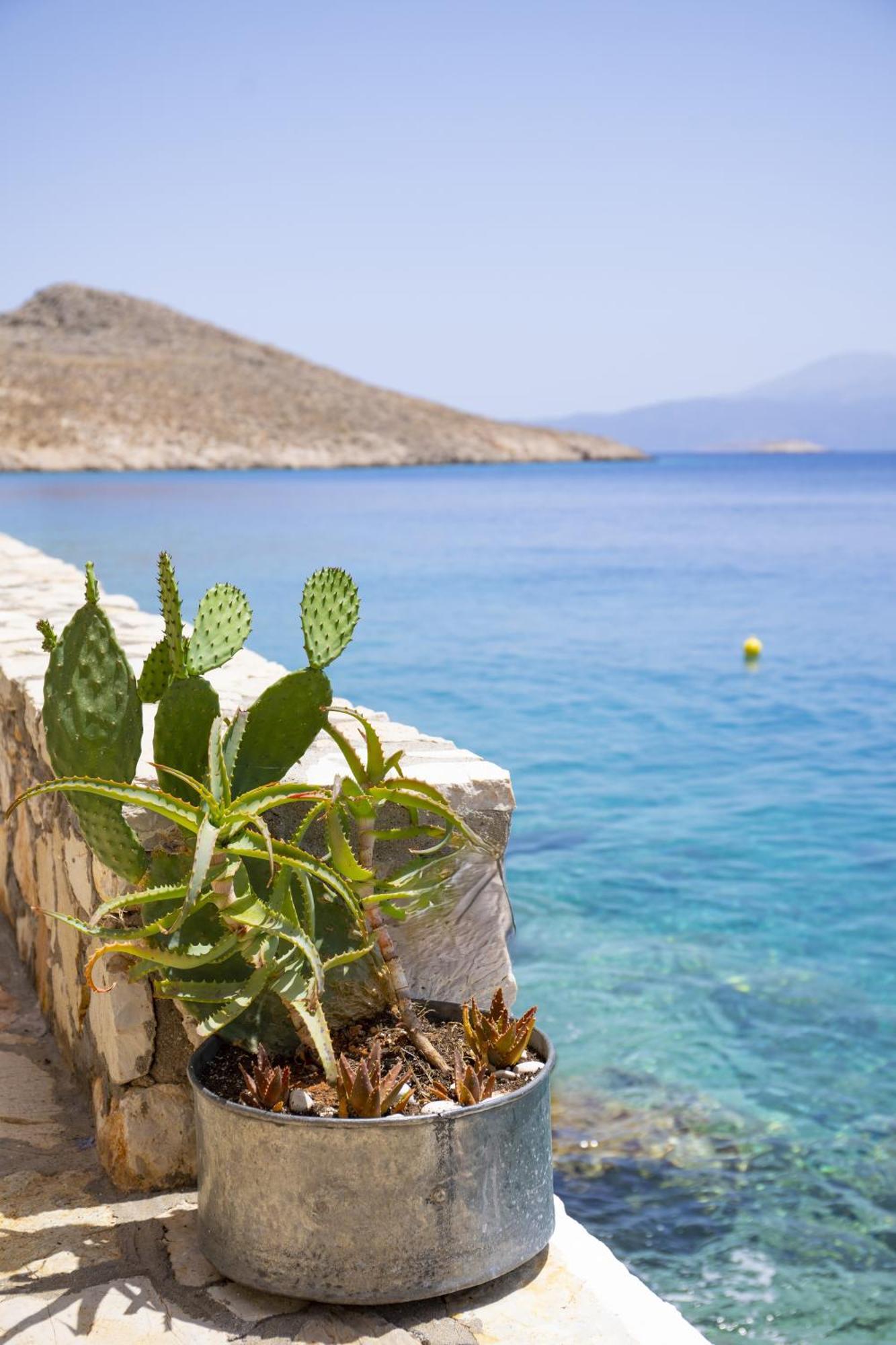 Villa Electra Chalki Town Extérieur photo